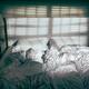 Unmade empty bed in dramatic lighting... (thumbnail)