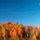 Colorful abstract fall nature reflected scenery... (thumbnail)