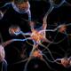 Neurons Brain cells scientific 3D illustration