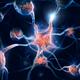 Neurons and neural connections Brain cells 3D illustration