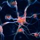 Neurons Nervous system Brain cells scientific 3D illustration