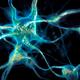 Neuron network Brain cells