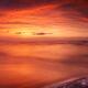 Driftwood in dark red dramatic sunset panoramic scenery over lake Huro... (thumbnail)