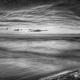 Driftwood in dramatic panoramic sunset scenery over lake Huron Black a... (thumbnail)