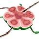 Lymph node structure
