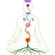 Chakras Shown as Flowers on a Stem growing from a root on Meditating p... (thumbnail)