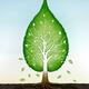 Green leaf shaped tree growing from earth concept... (thumbnail)