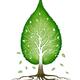Green leaf shaped tree nature fractals concept... (thumbnail)