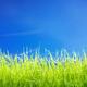Green lawn grass under blue sky... (thumbnail)