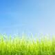 Green lawn grass under bright blue sky... (thumbnail)