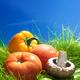 Fresh vegetables on grass artistic sun lit still life... (thumbnail)