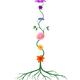 Chakras Shown as Flowers on Stem Growing From Root. Yoga, Reiki, energ... (thumbnail)