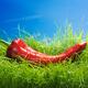 Red Marconi Long Sweet Pepper... (thumbnail)
