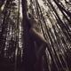 Beautiful nude woman leaning against tree in forest... (thumbnail)