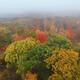 Autumn trees nature scenery of Muskoka Ontario in fog... (thumbnail)