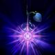 Flower with a magical bloom in its root... (thumbnail)