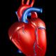 Human Heart 3D Illustration on black... (thumbnail)