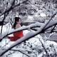 Woman in red kimono with bare shoulders in snow... (thumbnail)