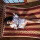 Woman reading a book in a hammock... (thumbnail)