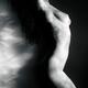 Fine art nude photo of naked woman body with light pattern of leaves... (thumbnail)