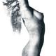 Nude woman body with trees and leaves nature design... (thumbnail)