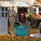 Decorated for Halloween House... (thumbnail)