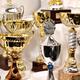 Collection of Trophies... (thumbnail)