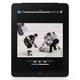 Watching Hockey Match on Apple iPad 3G Tablet... (thumbnail)
