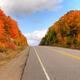 Autumn Nature... (thumbnail)
