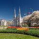 Tulip festival in Ottawa Notre-Dame Cathedral Basilica... (thumbnail)
