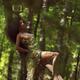 Sensual erotic portrait of a beautiful half nude sexy young woman lyin... (thumbnail)