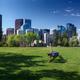 Woman practicing Yoga in a park with Calgary downtown skyline behind... (thumbnail)