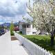 Canmore town Alberta springtime scenery... (thumbnail)
