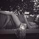 Sensual black and white portrait of a woman reading book on garden ben... (thumbnail)