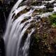 Englishman River Falls Provincial Park Waterfall scenery Vancouver Isl... (thumbnail)
