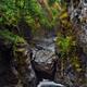 Beautiful nature scenery of Englishman River canyon on Vancouver Islan... (thumbnail)