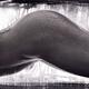 Artistic erotic closeup of an alien sci-fi nude woman body covered in... (thumbnail)