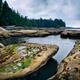Beautiful landscape scenery of Botanical Beach shoreline Juan de Fuca... (thumbnail)