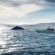 People on a whale watching tour boat following a humpback whale in BC... (thumbnail)