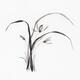 Wild orchids flowers Sumi-e Japanese Zen painting... (thumbnail)