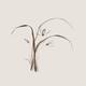 Wild orchid flowers Delicate refined Zen style floral design on light... (thumbnail)