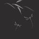 Dragonflies elegant Zen art design in modern contrast colors on black background