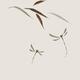 Two dragonflies and leaves Delicate romantic Zen style design on light... (thumbnail)