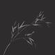 Bird on bamboo branch elegant Zen art design in modern contrast colors on black background