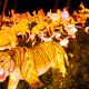 Chinese Lantern Festival... (thumbnail)