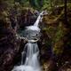 Beautiful cascade waterfall scenery at Little Qualicum Falls Provincia... (thumbnail)