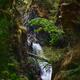 Beautiful waterfall and moss covered rocky cliffs at Little Qualicum F... (thumbnail)