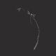 Dragonfly on bamboo stalk elegant Zen art design in modern contrast co... (thumbnail)