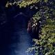 Beautiful tranquil fall nature scenery yellow leaves and Englishman Ri... (thumbnail)