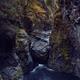 Beautiful fall nature scenery of Englishman River canyon on Vancouver... (thumbnail)